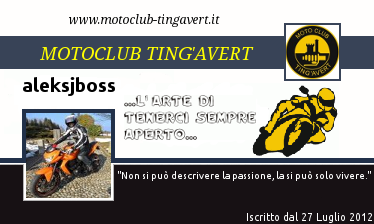 Tessera Tingavert