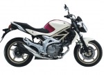 Suzuki Gladius 650