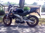 Derbi Gpr 50 Nude