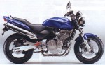 Honda Hornet 600