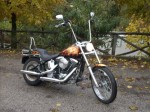 Harley Davidson FXSTC Softail Custom