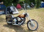 Harley Davidson FXSTC Softail Custom