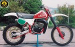 Cagiva WMX 250