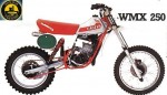 Cagiva WMX 250