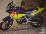 Aprilia pegaso 50