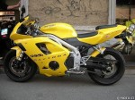 Triumph Daytona 955 I