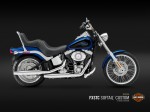 Harley Davidson FXSTC Softail Custom