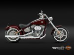 Harley Davidson FXCW Rocker