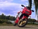 Aprilia RS 50