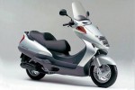 Honda Foresight 250